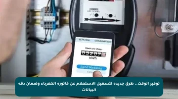 توفير الوقت.. طرق جديدة لتسهيل الاستعلام عن فاتورة الكهرباء وضمان دقة البيانات